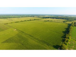 TRACT 4 - ILLINOIS LAND AUCTION - 4,810+/- ACRES OFFERED IN 85 TRACTS IN FRANKLIN, WILLIAMSON, HAMILTON & SALINE COUNTIES, ILLINOIS